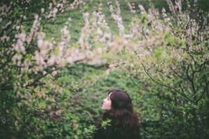 Dia diem ngam hoa man moc chau 2021 1