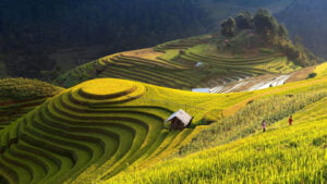 anh dai dien mu cang chai 1