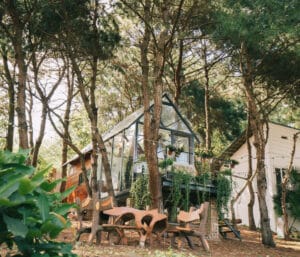 noting hill soc son 1