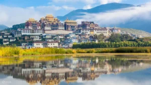 tqdjavrc8qzteop3lrca